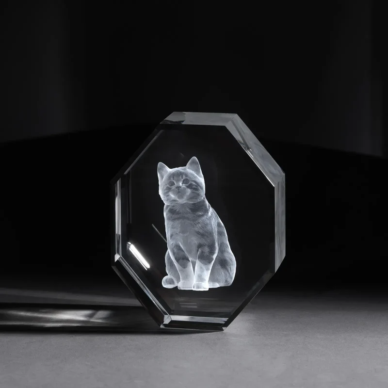 Cristal K9 octogonal Sélection xTool