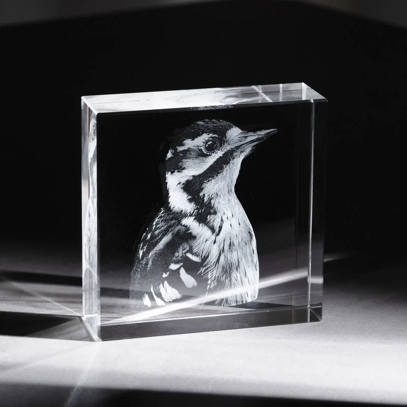 Cristal K9 carré Sélection xTool