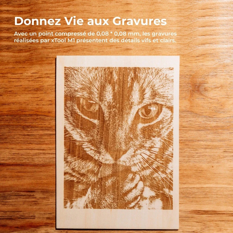 [Reconditionné] xTool M1 - Graveur Laser et Découpeur de Vinyle Intelligent