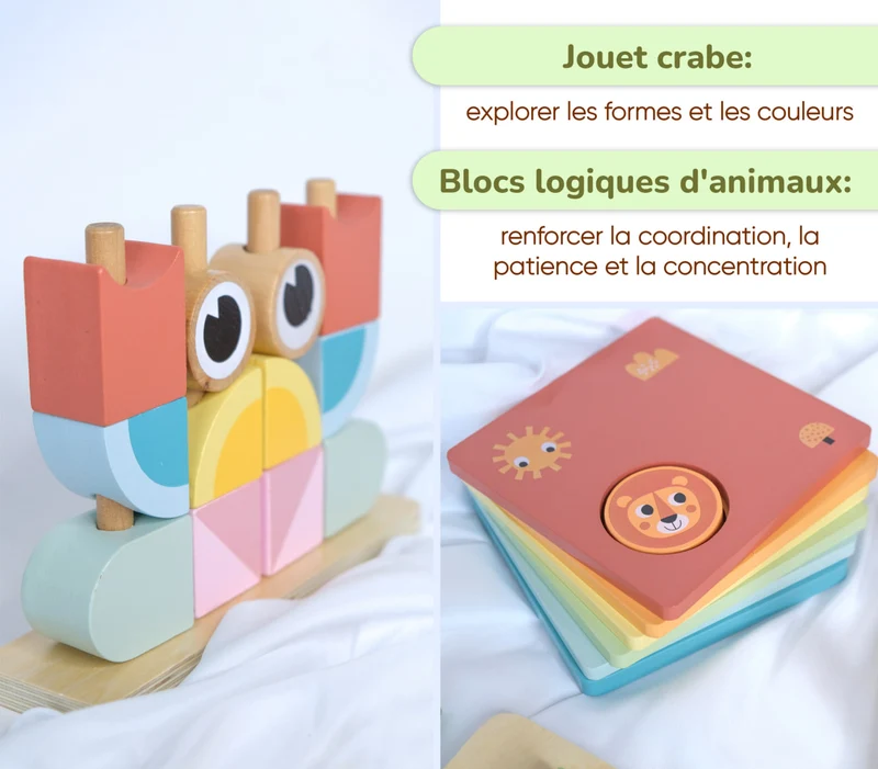 Coffret de Jeu Montessori pour les enfants de 24 à 36 mois BusyKids