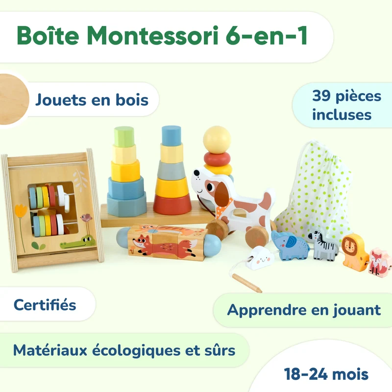 Coffret de Jeu Montessori - ensemble pour les enfants de 18 à 24
