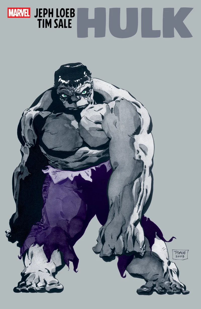 Jeph Loeb et Tim Sale : Hulk