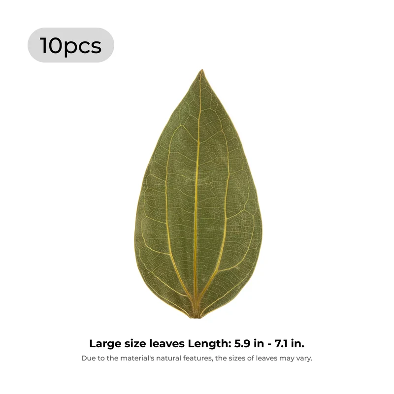Feuilles de cannelle pour gravure (10 pcs)