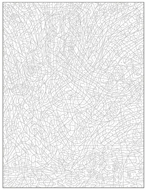 Coloriages Mystères Animaux – Livre Art-Thérapie Adulte Marabout