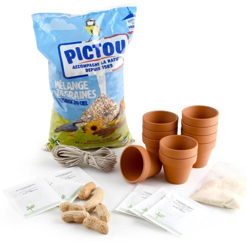 Kit Créatif Mangeoire à Oiseaux – Activité Anniversaire Nature pour 10 Enfants
