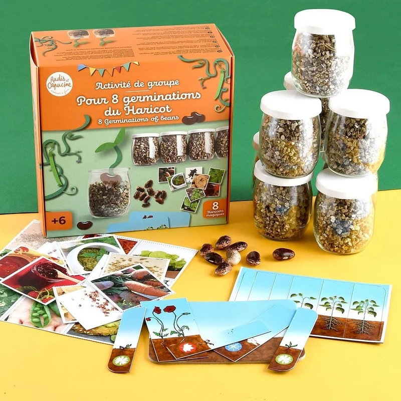 Kit Germination du Haricot – Activité Anniversaire Nature pour 8 Enfants | Made in France