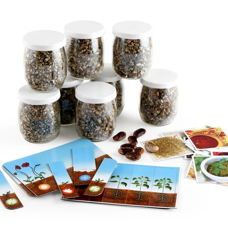 Kit Germination du Haricot – Activité Anniversaire Nature pour 8 Enfants | Made in France