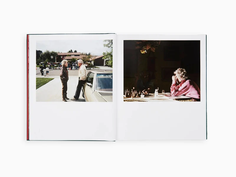 Larry Sultan - Pictures from Home