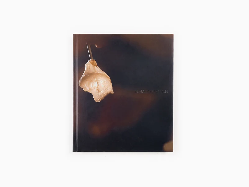 Bharti Kher - Catalogue Jack Shainman