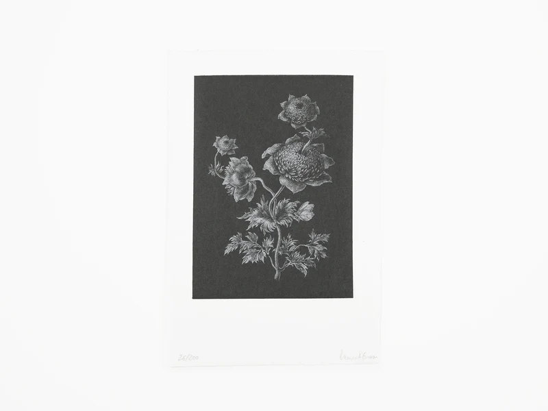 Laurent Grasso - Future Herbarium (noir)