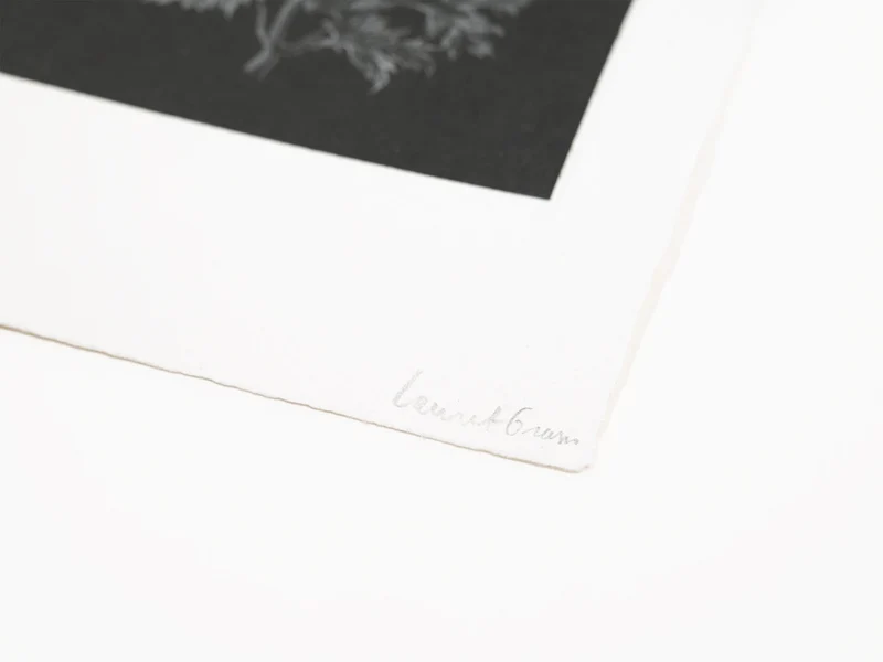 Laurent Grasso - Future Herbarium (noir)