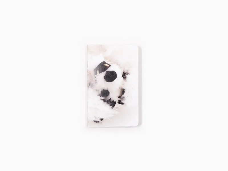 Paola Pivi - Baby Bear Mini-Notebook (Set of 3)