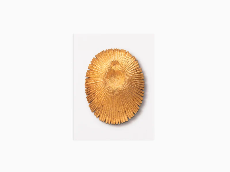 Johan Creten - Postcard Zwam 3, 2019