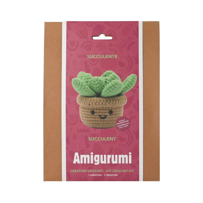 Kit DIY Crochet: Succulente (ML)