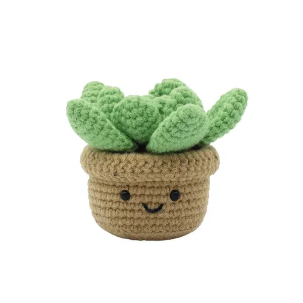 Kit DIY Crochet: Succulente (ML)