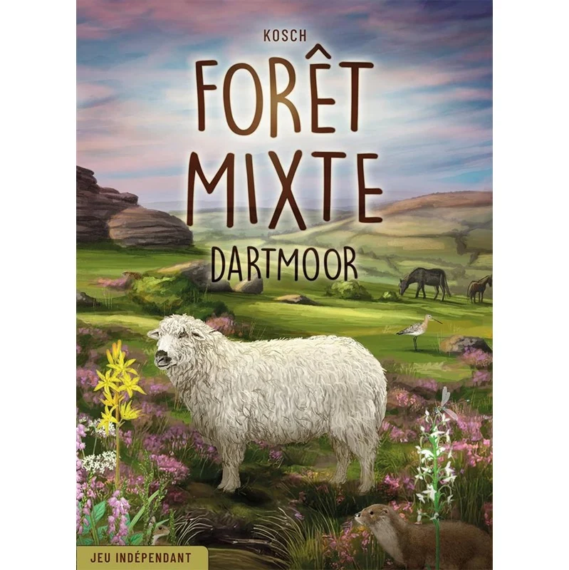 Foret Mixte Dartmoor