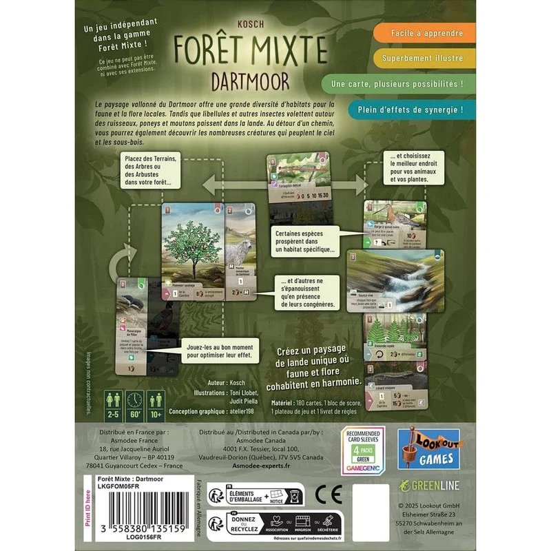 Forêt Mixte - Dartmoor (FR)
