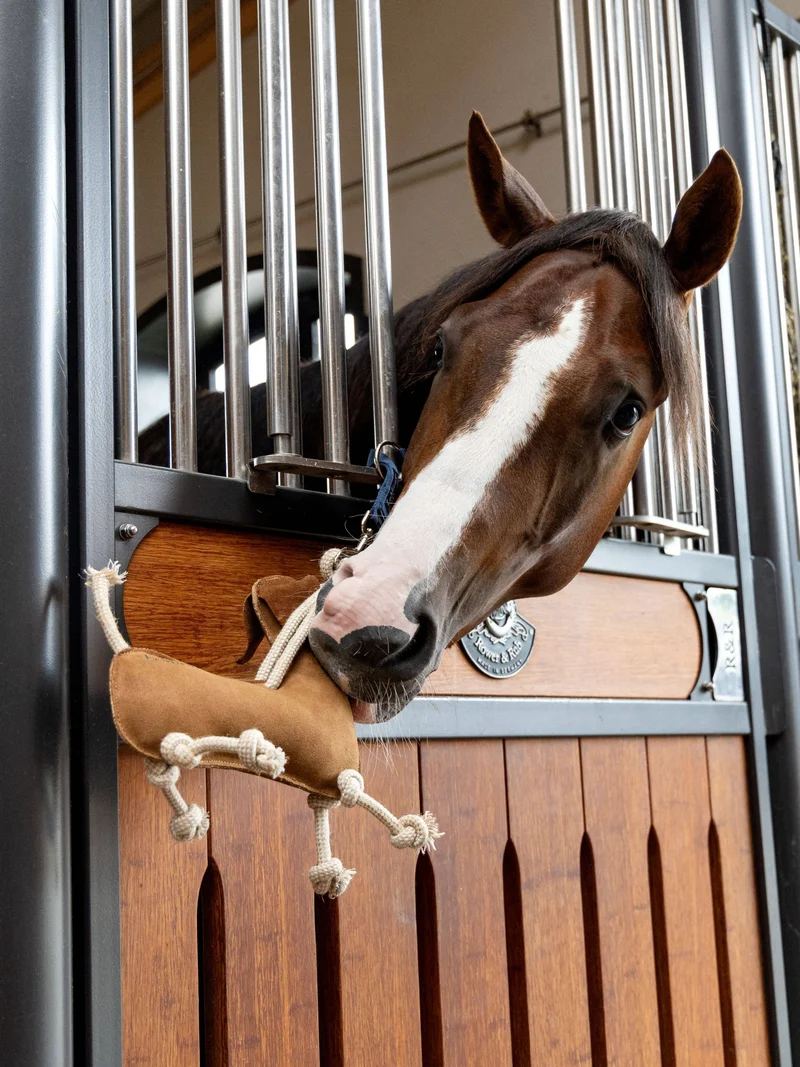 Jouet pour chevaux sausage dog