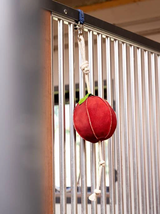 Pomme jouet 3D pour cheval LeMieux