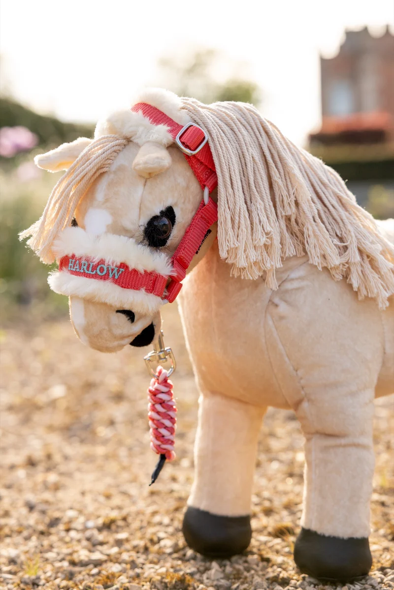 Licol et Longe Harlow Toy Pony Coral Crush