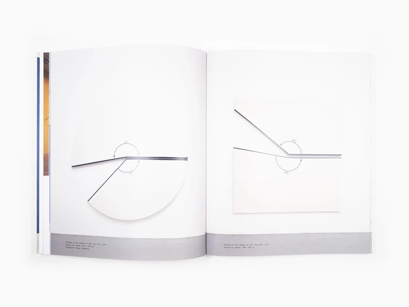 Bernar Venet - Peintures