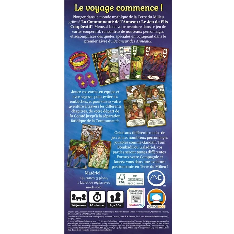 La Communauté de l'Anneau Jeu de plis coopératif