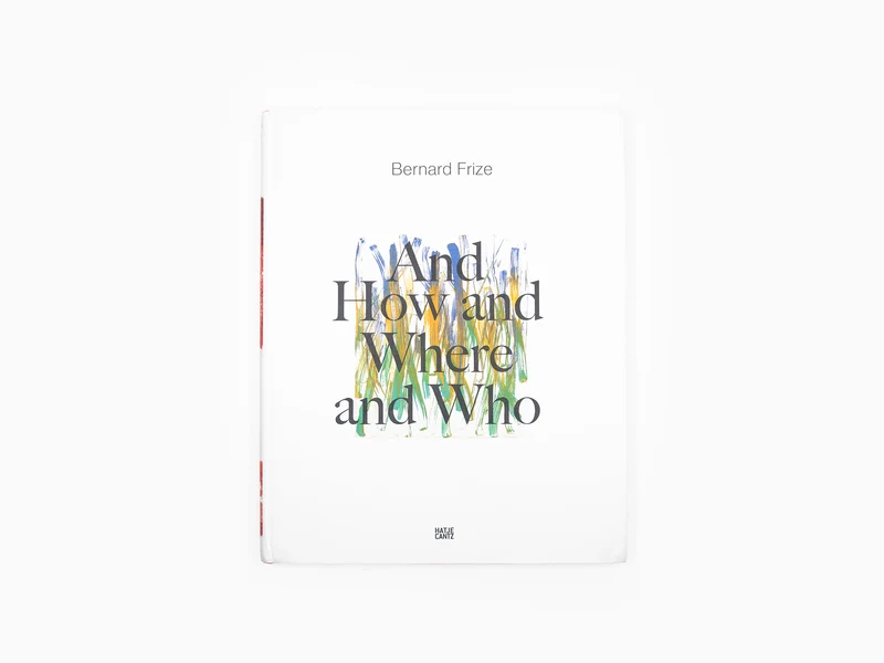 Bernard Frize - Comment, où et qui