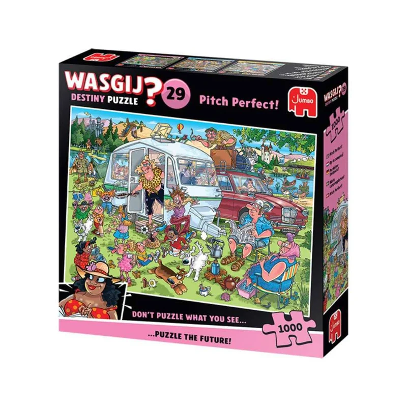 Wasgij Destiny #29 L’emplacement parfait (1000 pcs)