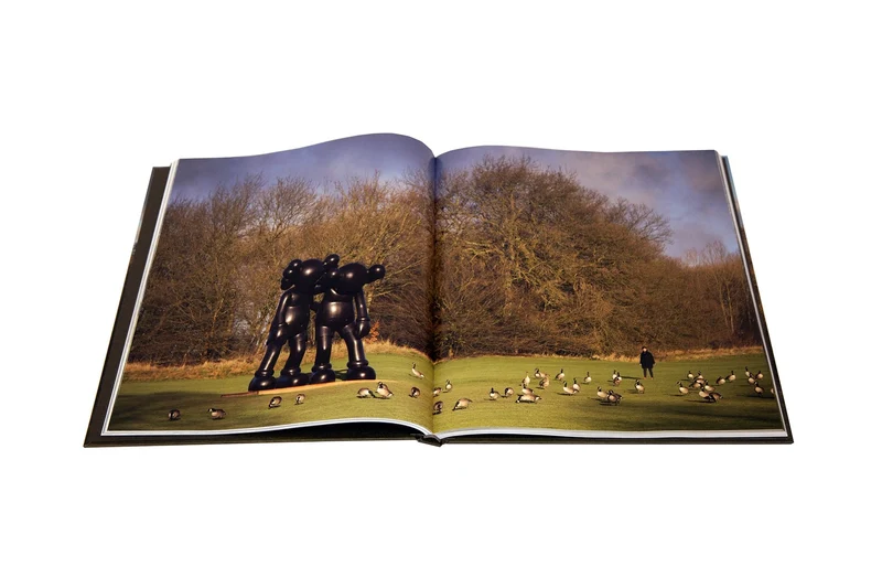 FROM THE ARCHIVES: Kaws - Yorkshire Sculpture Park