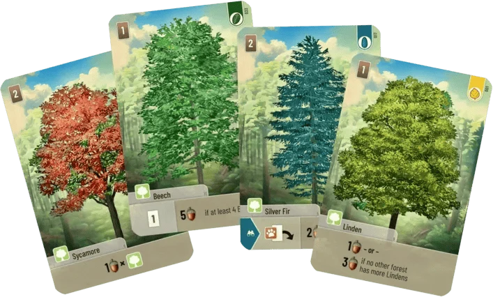 Forest Shuffle (EN)