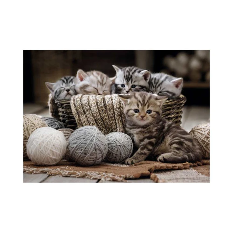 Boules de poils et pelotes. (1500 pcs)