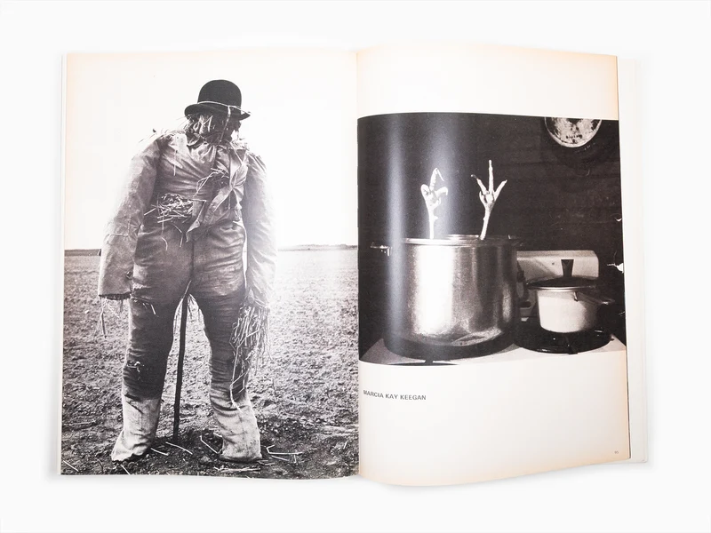 Maurizio Cattelan - Le Dictateur 01