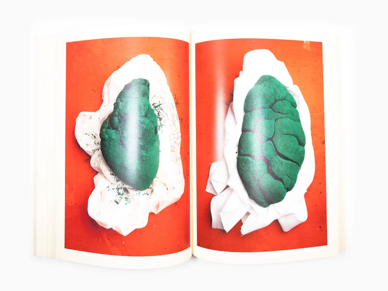 Maurizio Cattelan - Le Dictateur 04