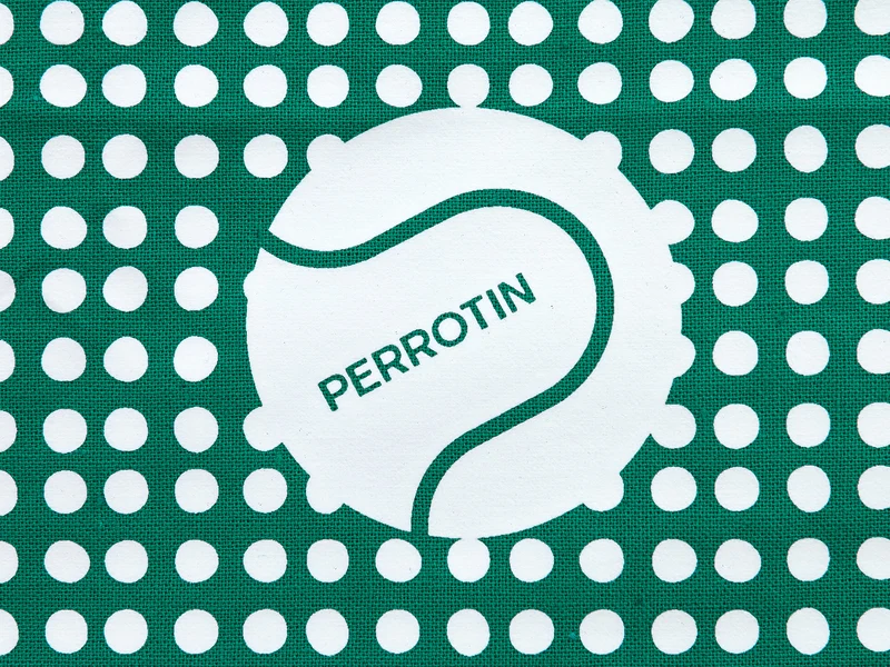 Perrotin - Bandana pour chien