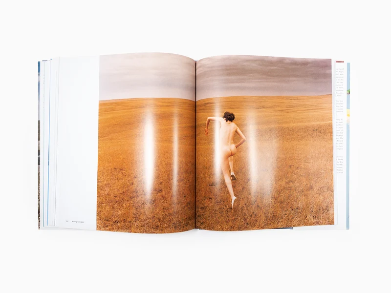 Ryan MCGINLEY - Whistle for the wind