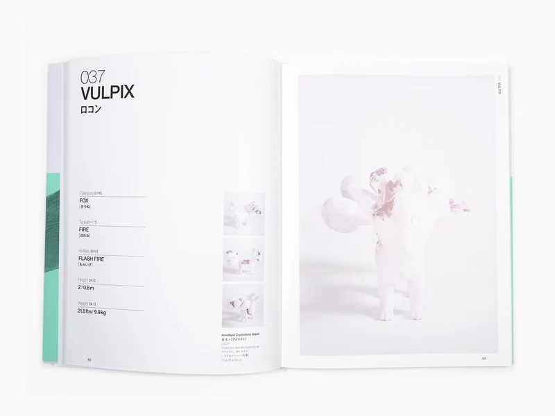 Daniel Arsham - Arsham's Pokédex