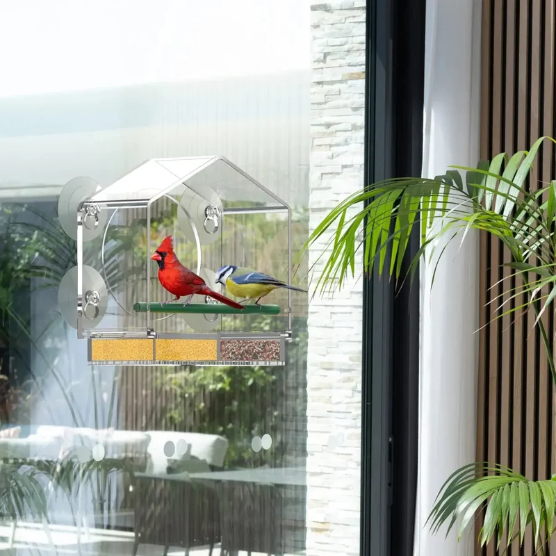 Mangeoire à oiseaux transparente pour fenêtre