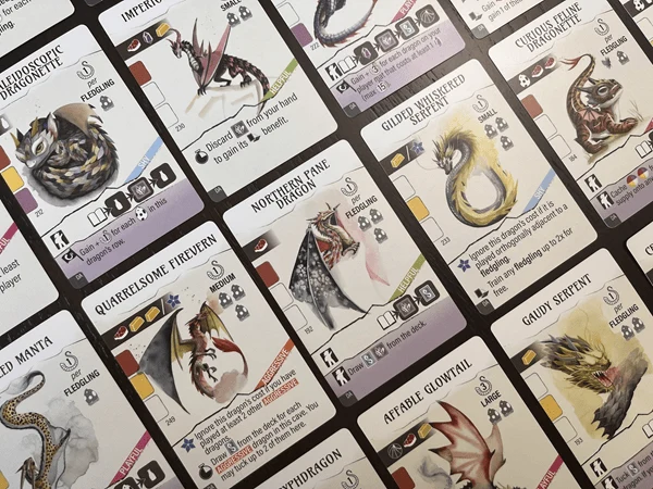 Wyrmspan - ext. L'Académie des Dragons (FR)