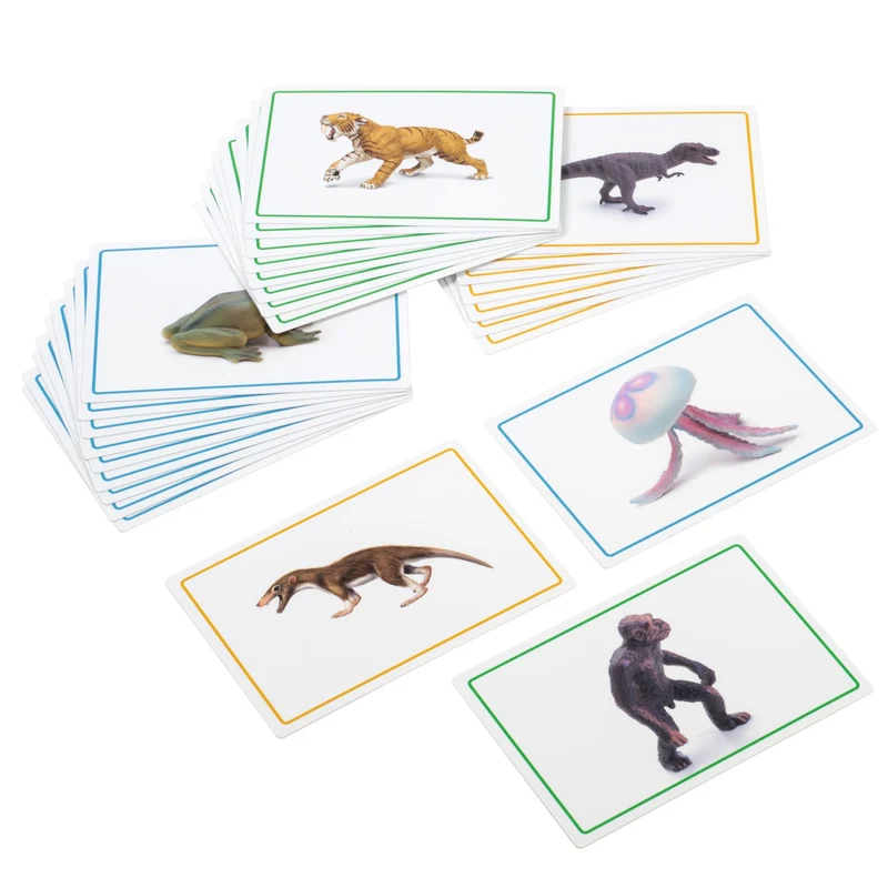 Cards And Book For The Black Ribbon (German version)