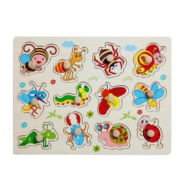 Plateau Montessori Insectes