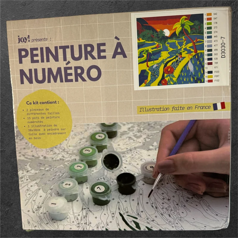 Peinture à numéro avec cadre 30x30 Bali