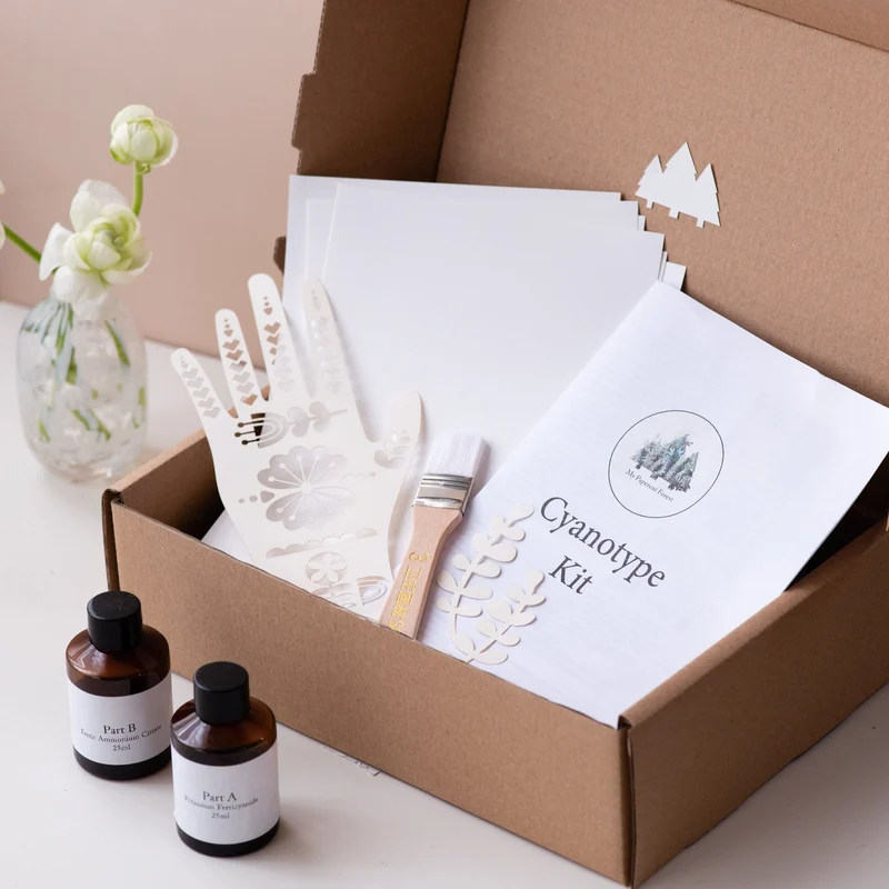 Kit Cyanotype, impression solaire DIY, impression solaire botanique