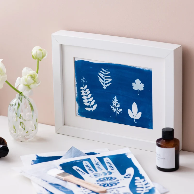 Kit Cyanotype, impression solaire DIY, impression solaire botanique