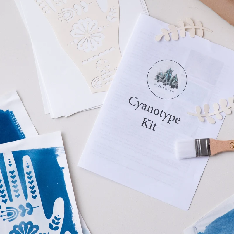 Kit Cyanotype, impression solaire DIY, impression solaire botanique