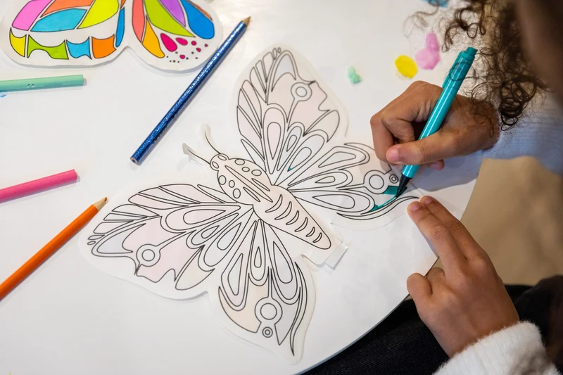 Coloriages gonflables - 2 papillons à colorier