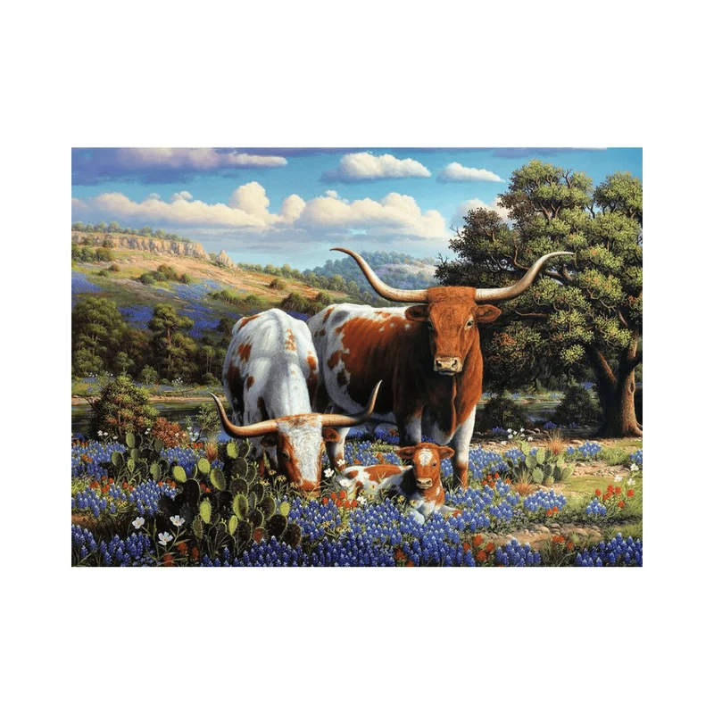 Loving Longhorns (500 pcs)