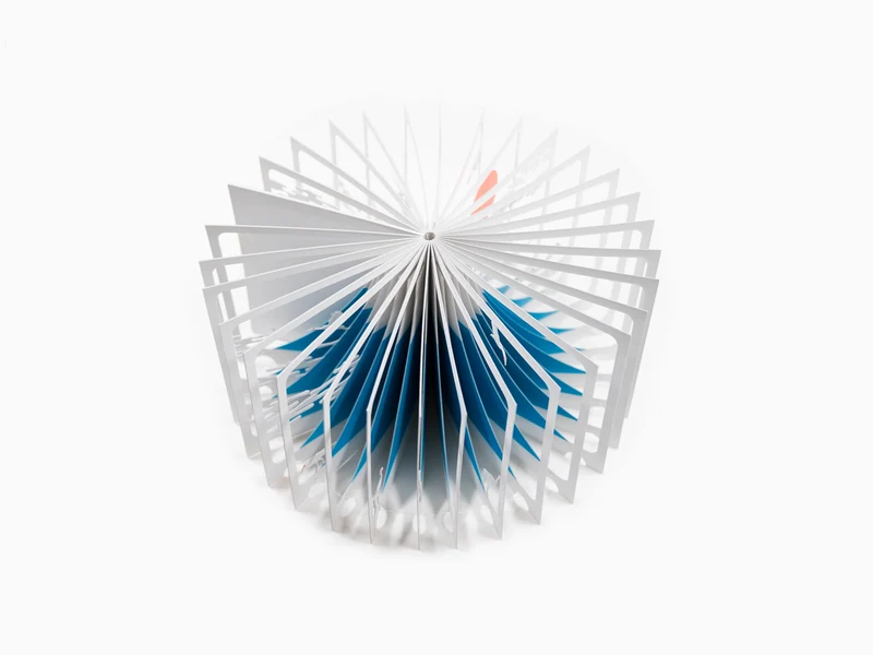 Mont Fuji - Livre 360