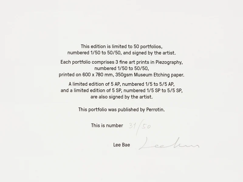Lee Bae - Portfolio "Constellation