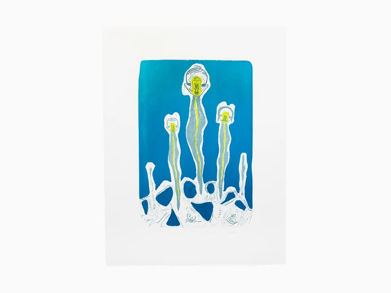 Izumi Kato - Untitled 43 #31 ( Portfolio"From the Sea")