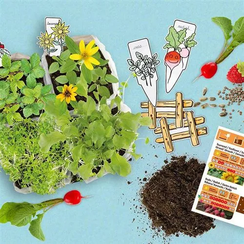 Coffret Mini Potager – Radis et Capucine 🌱 Kit de jardinage pour enfants
